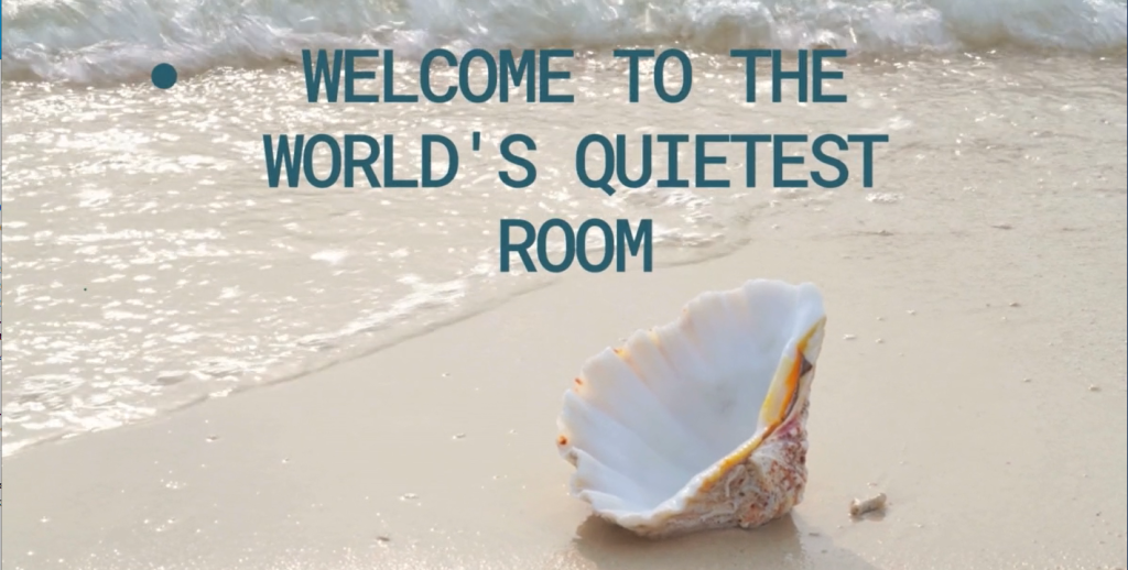 World's Quietest room