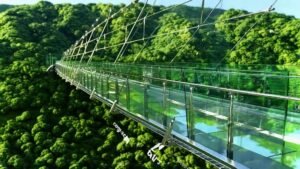 South Korea Glass Bridge: Walk Above The Forest