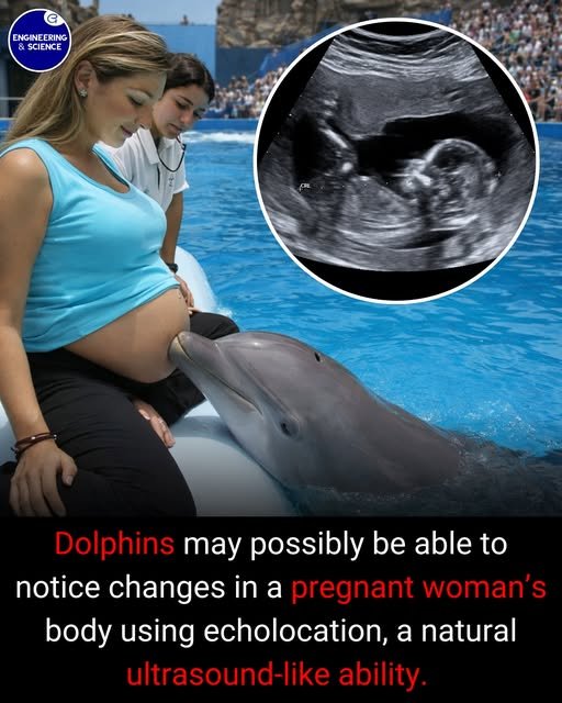 Surprising Science Facts Music Often Triggers More Detailed, Emotional, And Vivid Personal Memories Than Visual Cues Because It Activates Multiple Brain Regions At Once, Including Those Responsible For Emotion, Memory, And Sensory Processing.
