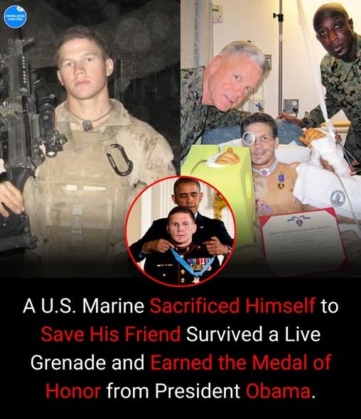 Inspirational Stories What If Bright Colors Could Guard Crops And Cut Pollution At The Same Time? In Japan, Farmers Are Using Rainbow-Colored Nets As A Natural Way To Keep Pests Away Without Relying On Chemical Sprays. These Vivid Coverings Are More Than Eye-Catching — They Disrupt How Insects See And Navigate, Making It Harder For Pests Like Aphids, Beetles, And Whiteflies To Find Their Target Plants. Inspirational Stories: Jonah Hill’s 10-Year Wellness Journey