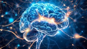 Quantum Brain Theory: New Evidence For Fast Processing