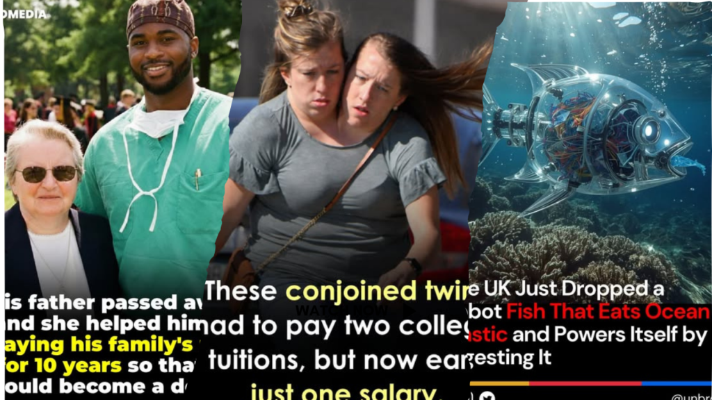 Inspiring True Stories: Abby &Amp; Brittany Hensel &Amp; Robot Fish