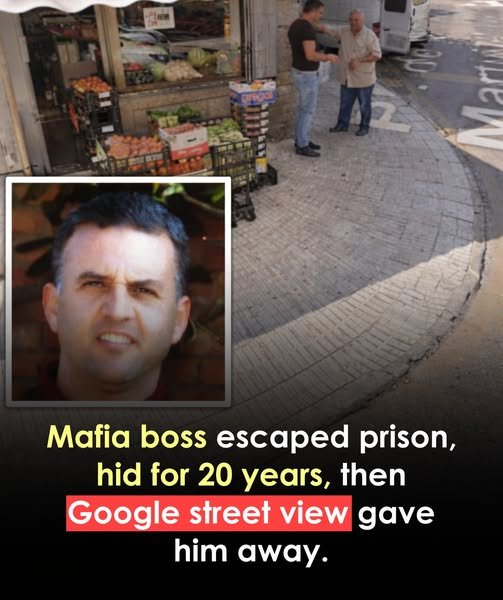 Discovering A Hidden Landscape: Unbelievable True Stories