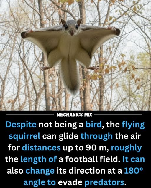 The Genius Of Biology: A Guide To Nature’s Amazing Inventions