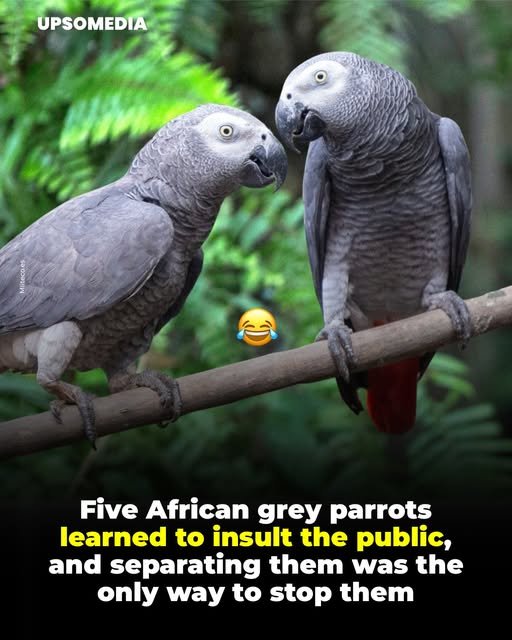 Incredible Survival Stories | Sea Rescues &Amp; Real Life Miracles