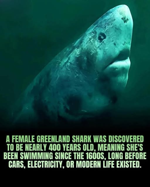 Power Of Human Connection