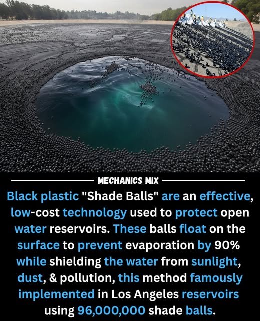 Futuristic Infrastructure | Solar Power Innovation